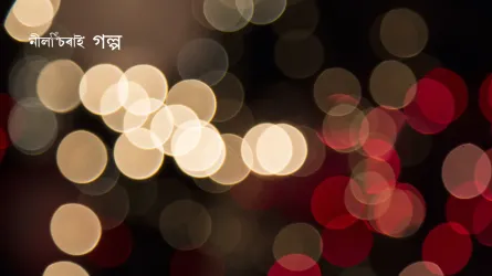 আধালিখা গল্পটো