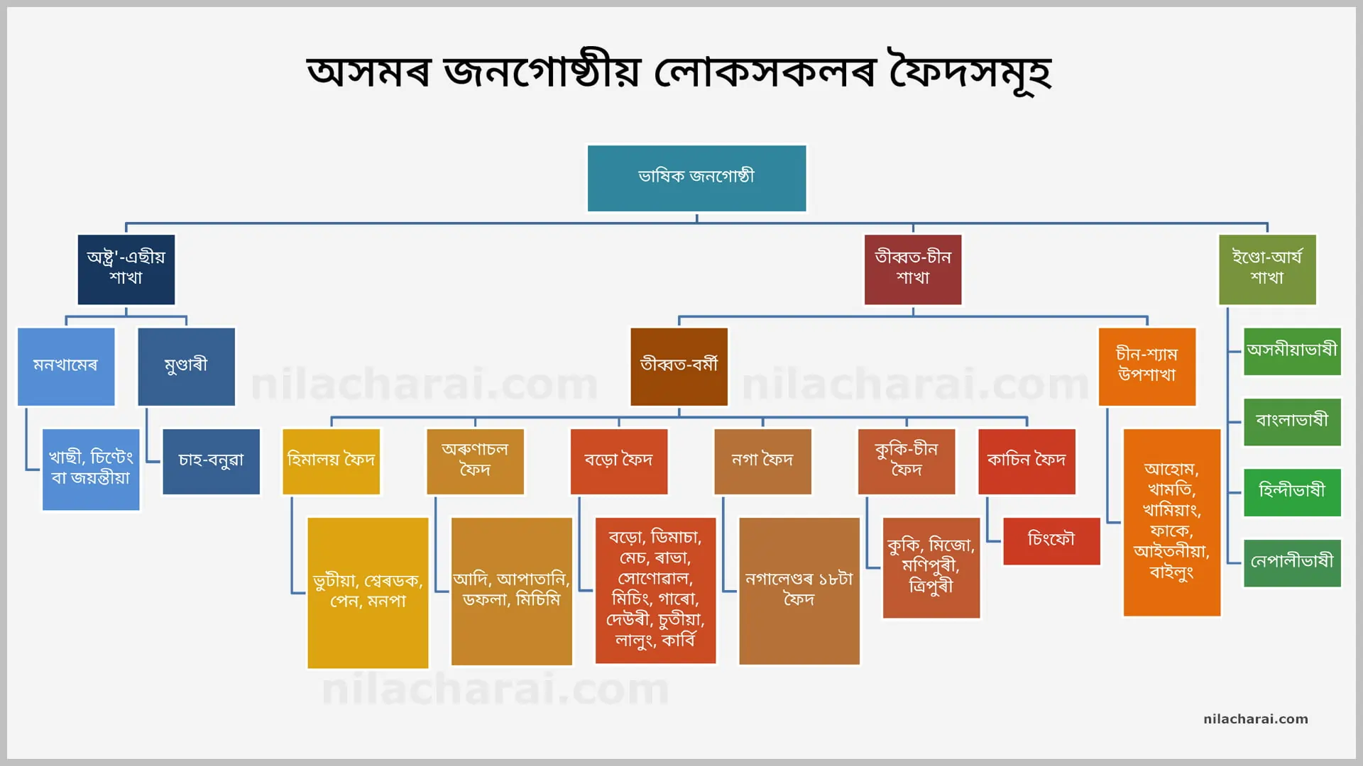 অসমৰ জনগোষ্ঠীয় ফৈদসমূহ