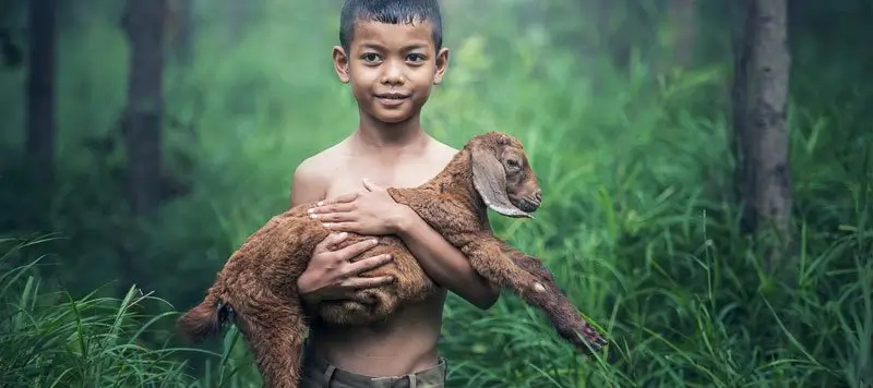 বিশ্ব পৰিৱেশ দিৱস