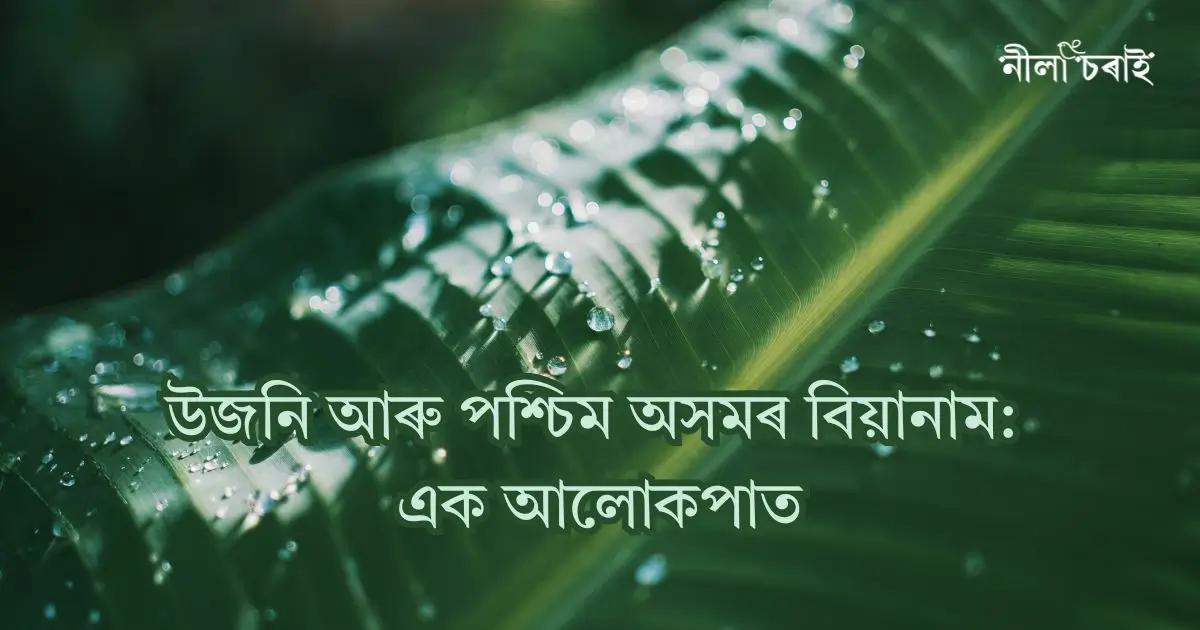উজনি আৰু পশ্চিম অসমৰ বিয়ানাম: এক আলোকপাত